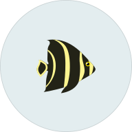 FISH CEPHALEXIN